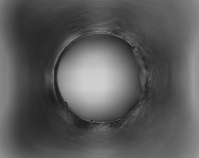 X0000096730148200802191555