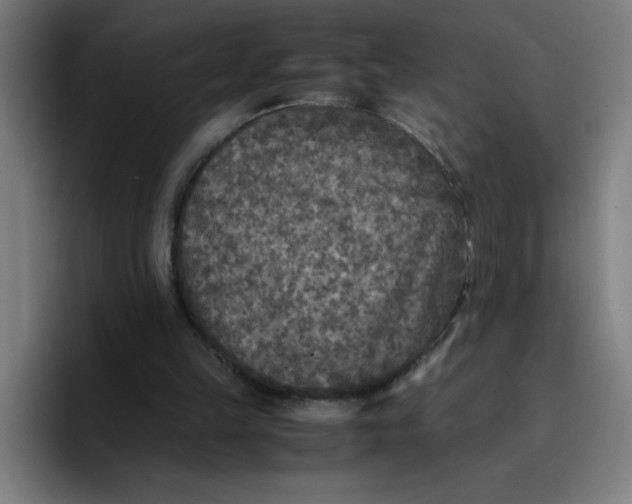 X0000096730149200802191555