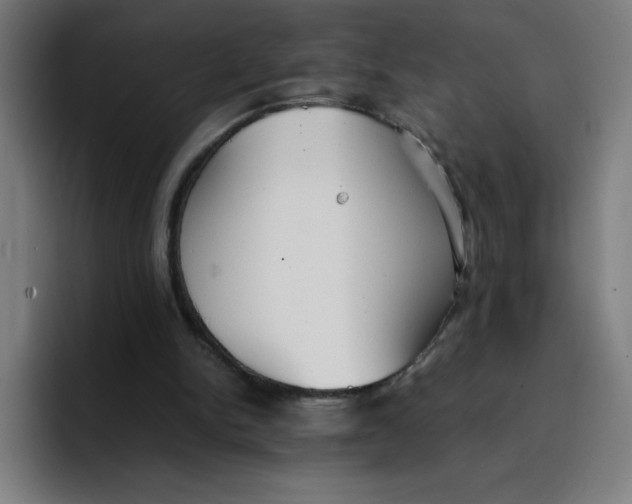 X0000096730150200802191555