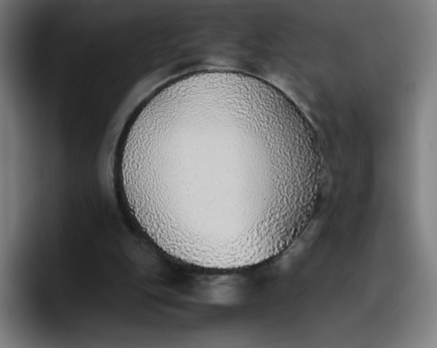 X0000096730151200802191555