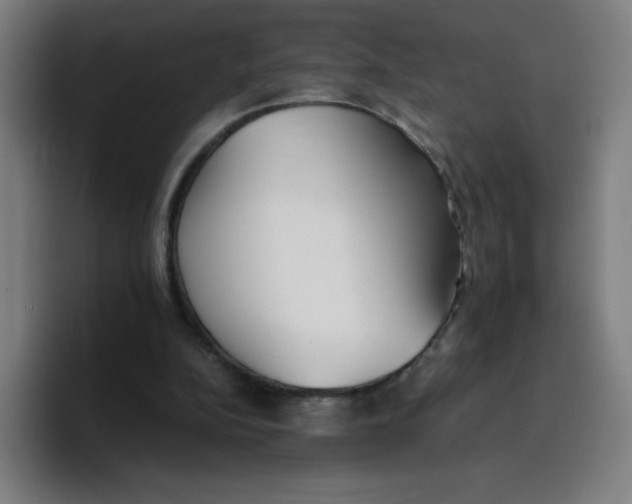 X0000096730152200802191555