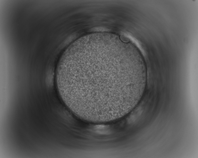 X0000096730153200802191555