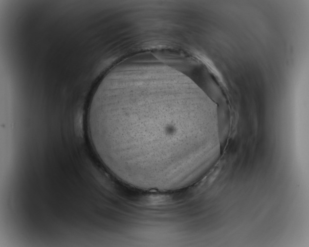 X0000096730154200802191555