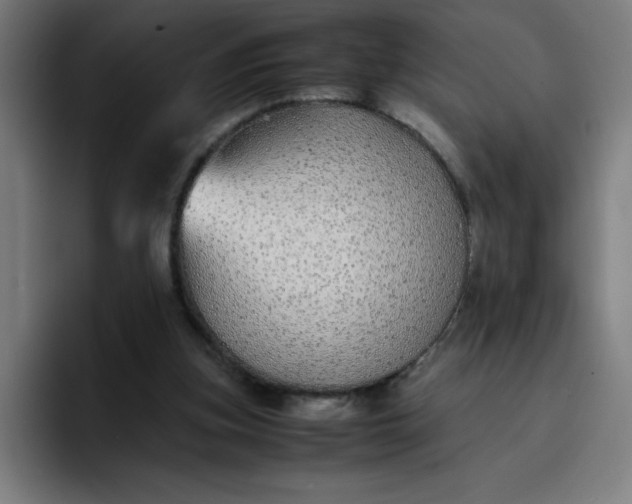 X0000096730155200802191555