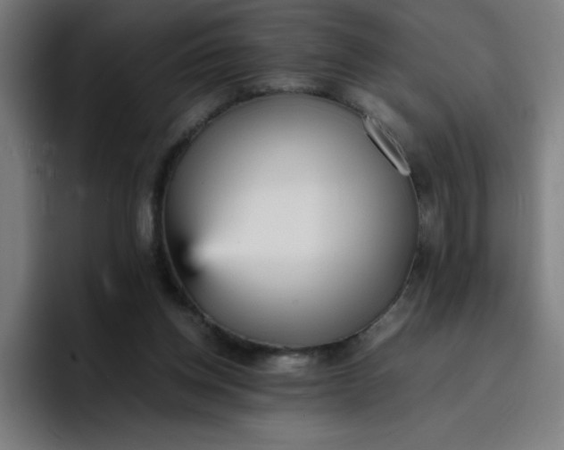 X0000096730158200802191555