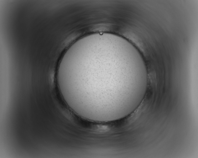 X0000096730159200802191555