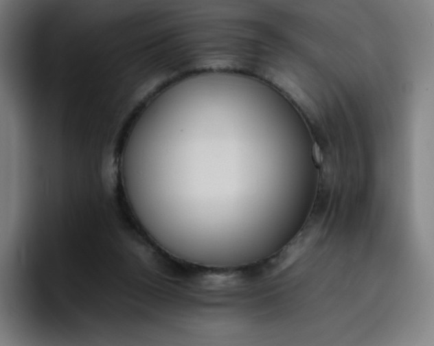 X0000096730160200802191555