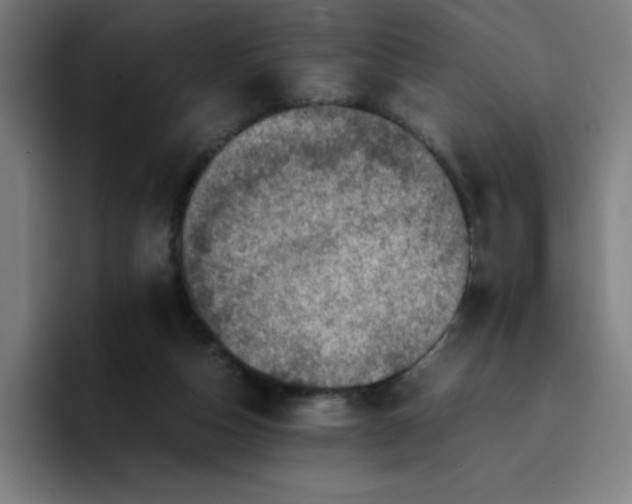 X0000096730162200802191555