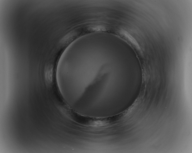 X0000096730163200802191555