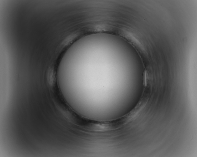 X0000096730164200802191555