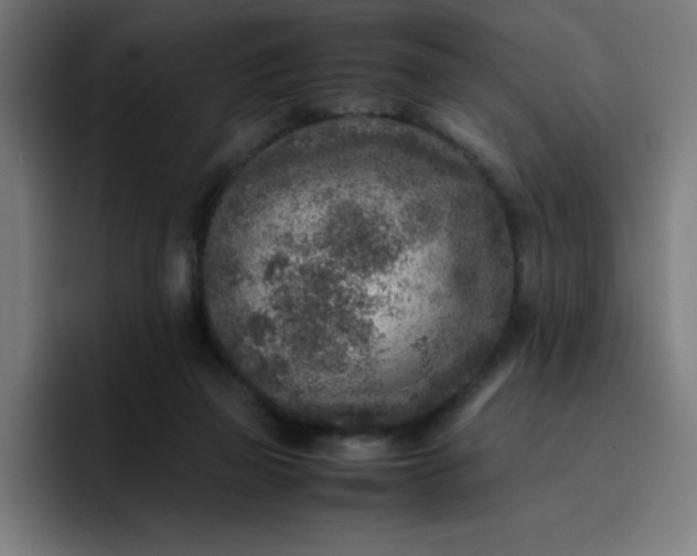 X0000096730165200802191555