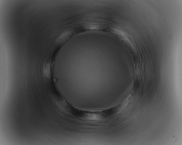 X0000096730167200802191555