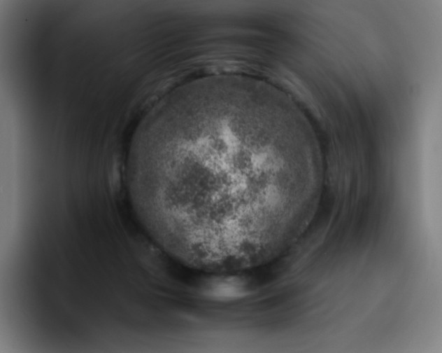 X0000096730169200802191555