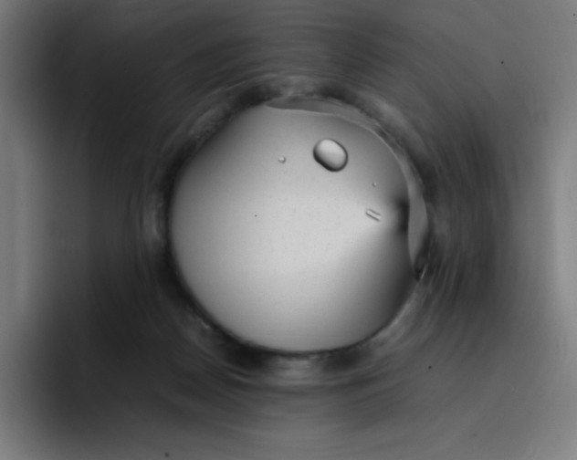 X0000096730170200802191555