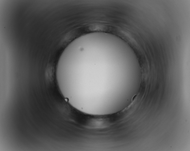 X0000096730171200802191555