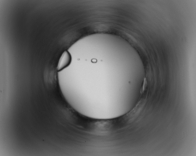 X0000096730172200802191555