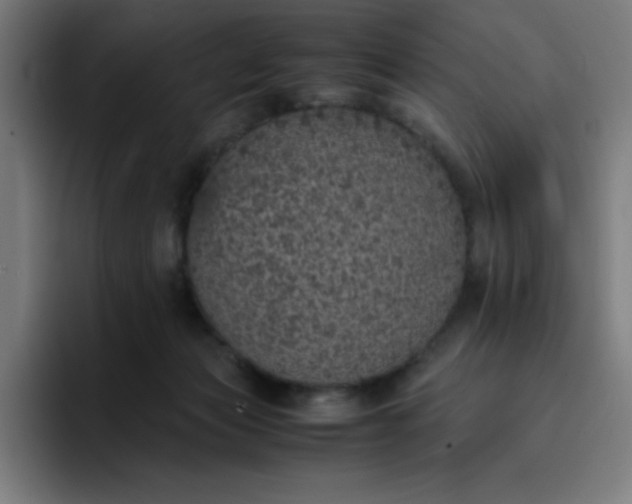 X0000096730173200802191555