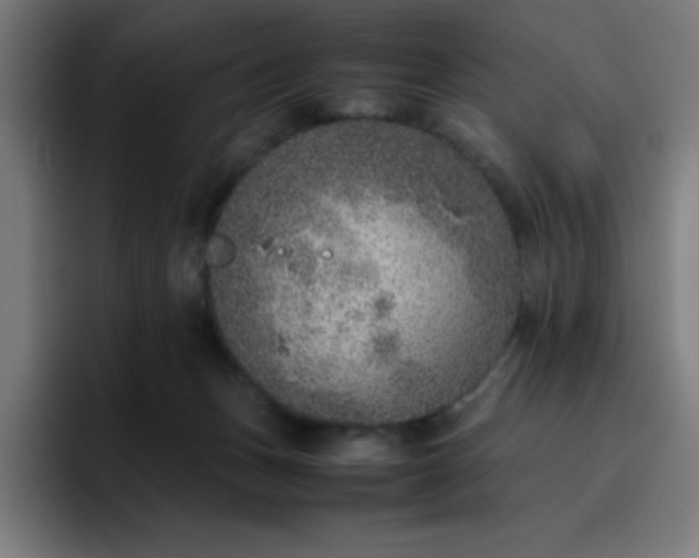 X0000096730175200802191555