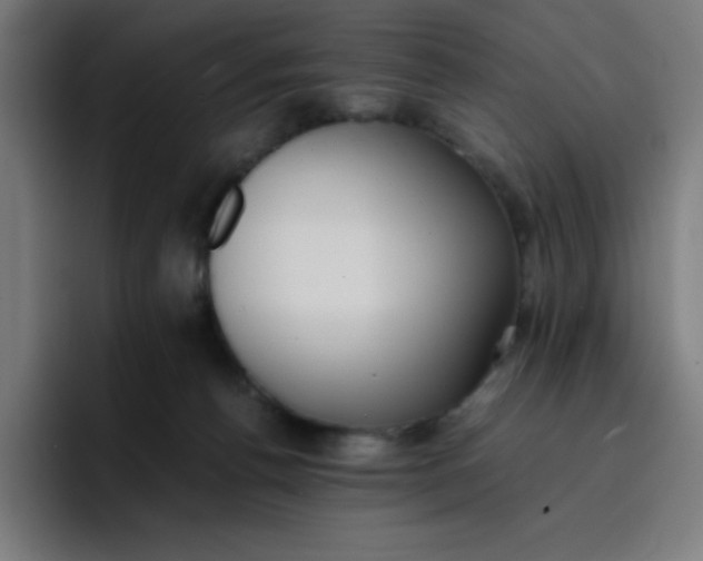 X0000096730176200802191555