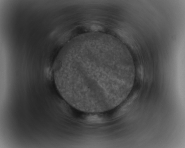 X0000096730177200802191555