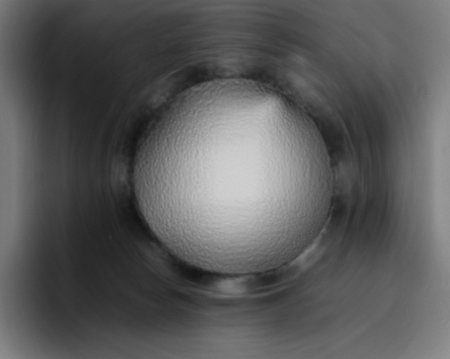 X0000096730178200802191555