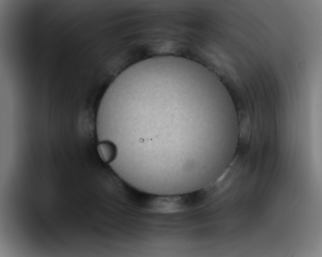 X0000096730179200802191555