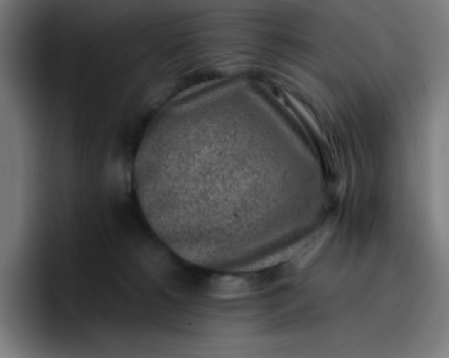 X0000096730180200802191555