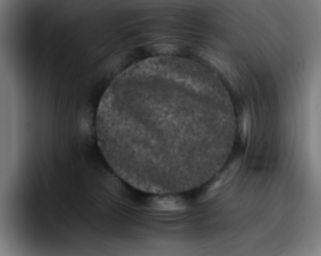 X0000096730181200802191555