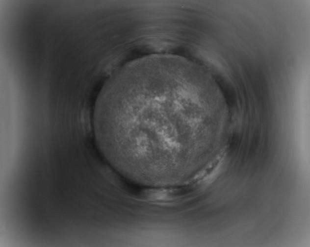 X0000096730182200802191555