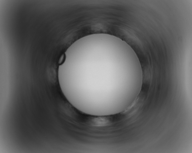 X0000096730183200802191556