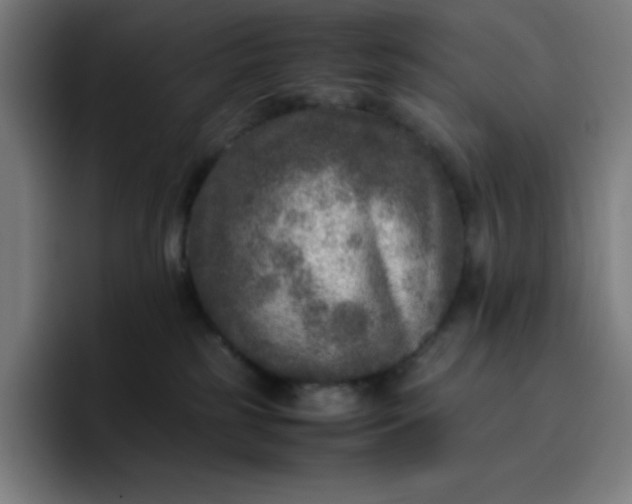 X0000096730185200802191556