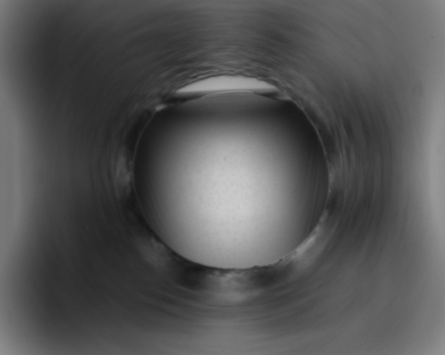 X0000096730186200802191556