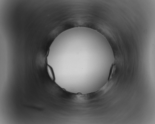 X0000096730188200802191556