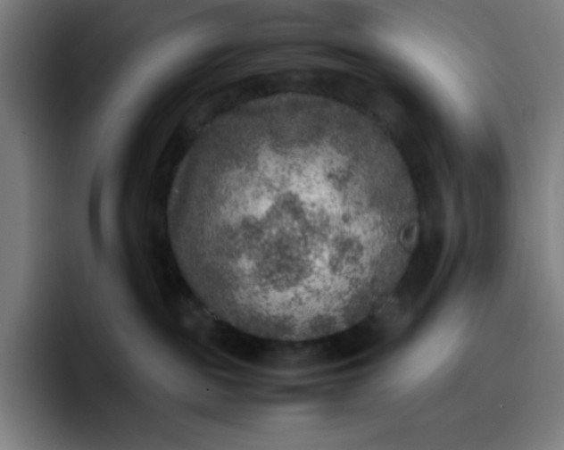 X0000096730189200802191556