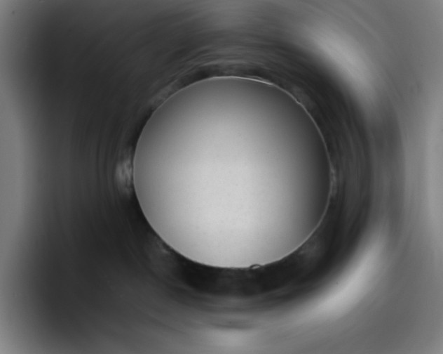 X0000096730190200802191556