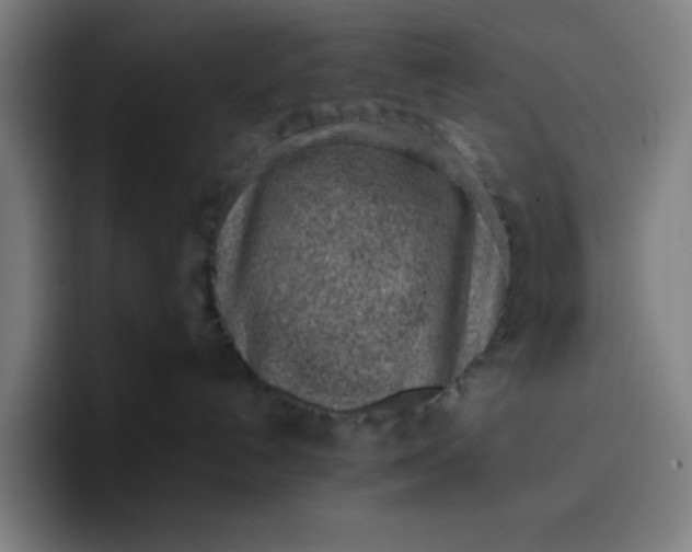 X0000096730192200802191556