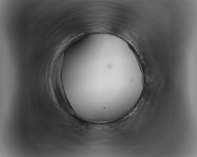 X0000096730193200802191555