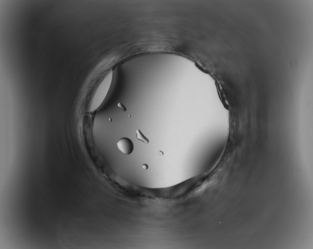 X0000096730197200802191555