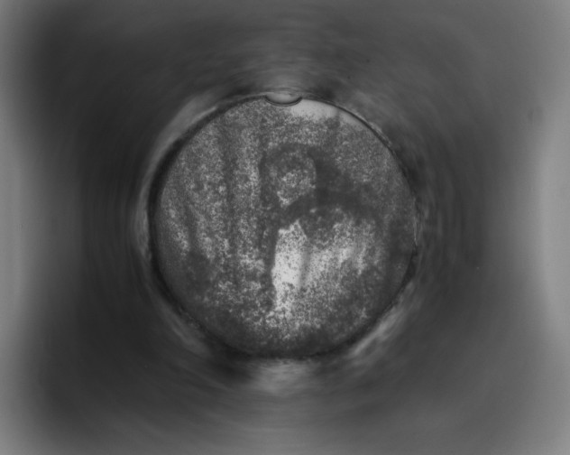 X0000096730198200802191555