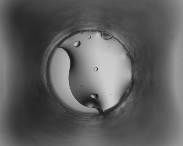 X0000096730199200802191555