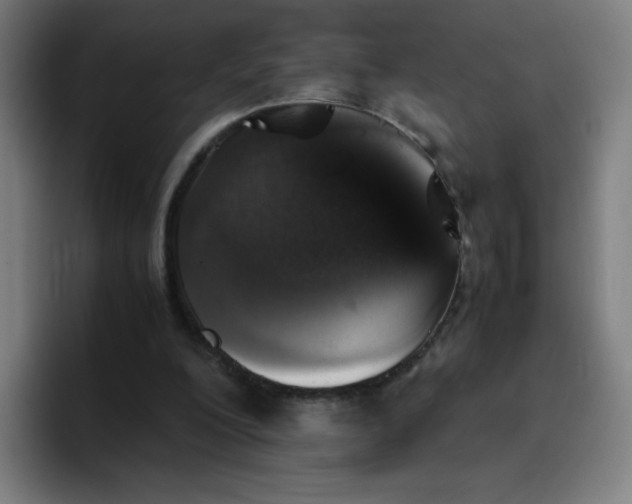 X0000096730200200802191555