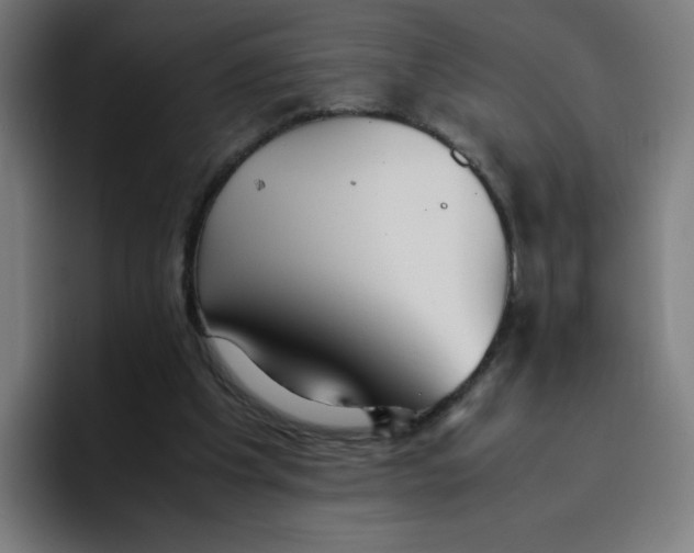 X0000096730201200802191555