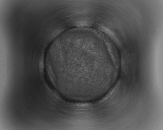 X0000096730202200802191555