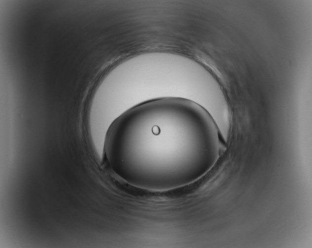 X0000096730203200802191555