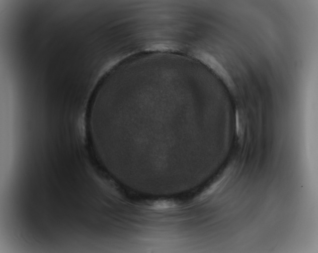 X0000096730204200802191555