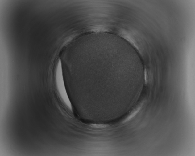 X0000096730205200802191555