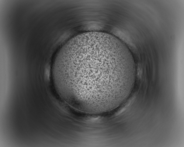 X0000096730206200802191555