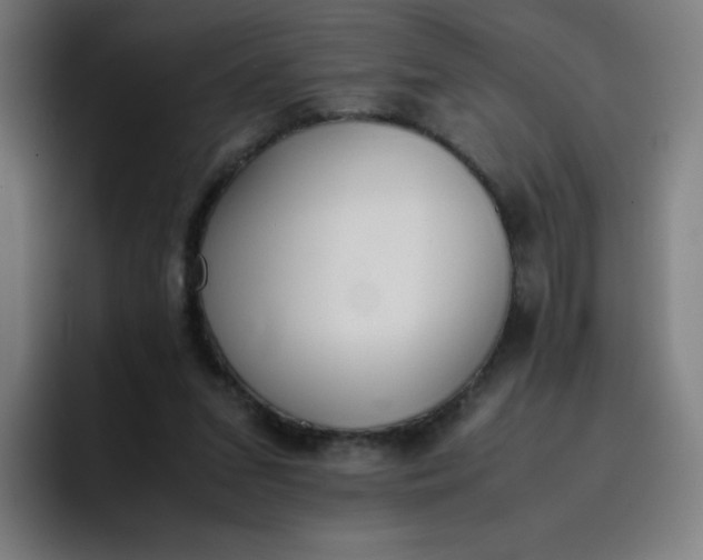 X0000096730207200802191555