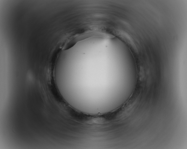 X0000096730210200802191555