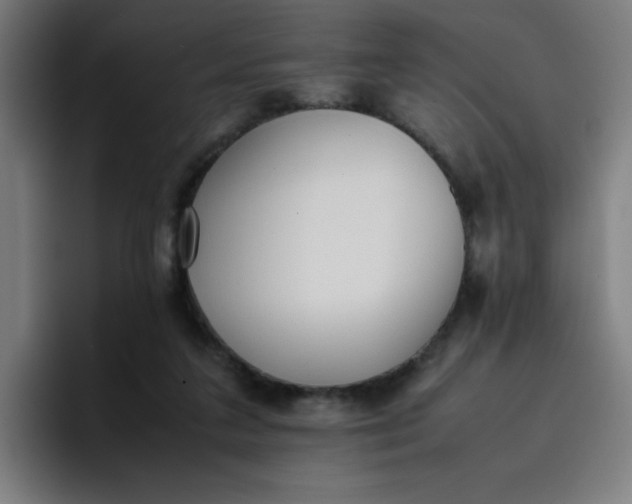 X0000096730211200802191555